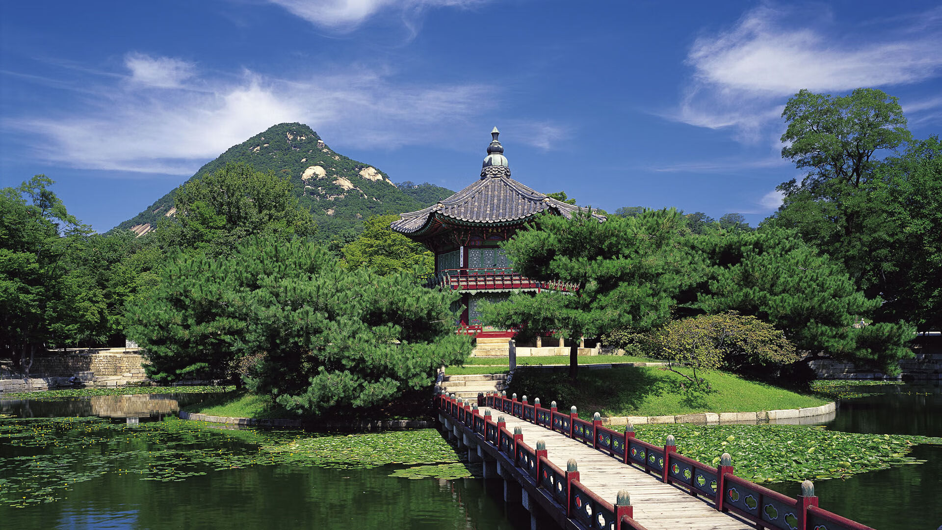 世界学生短道速滑夏训营：冰上姿态调整收获成果，短道速滑 夏季奥运会